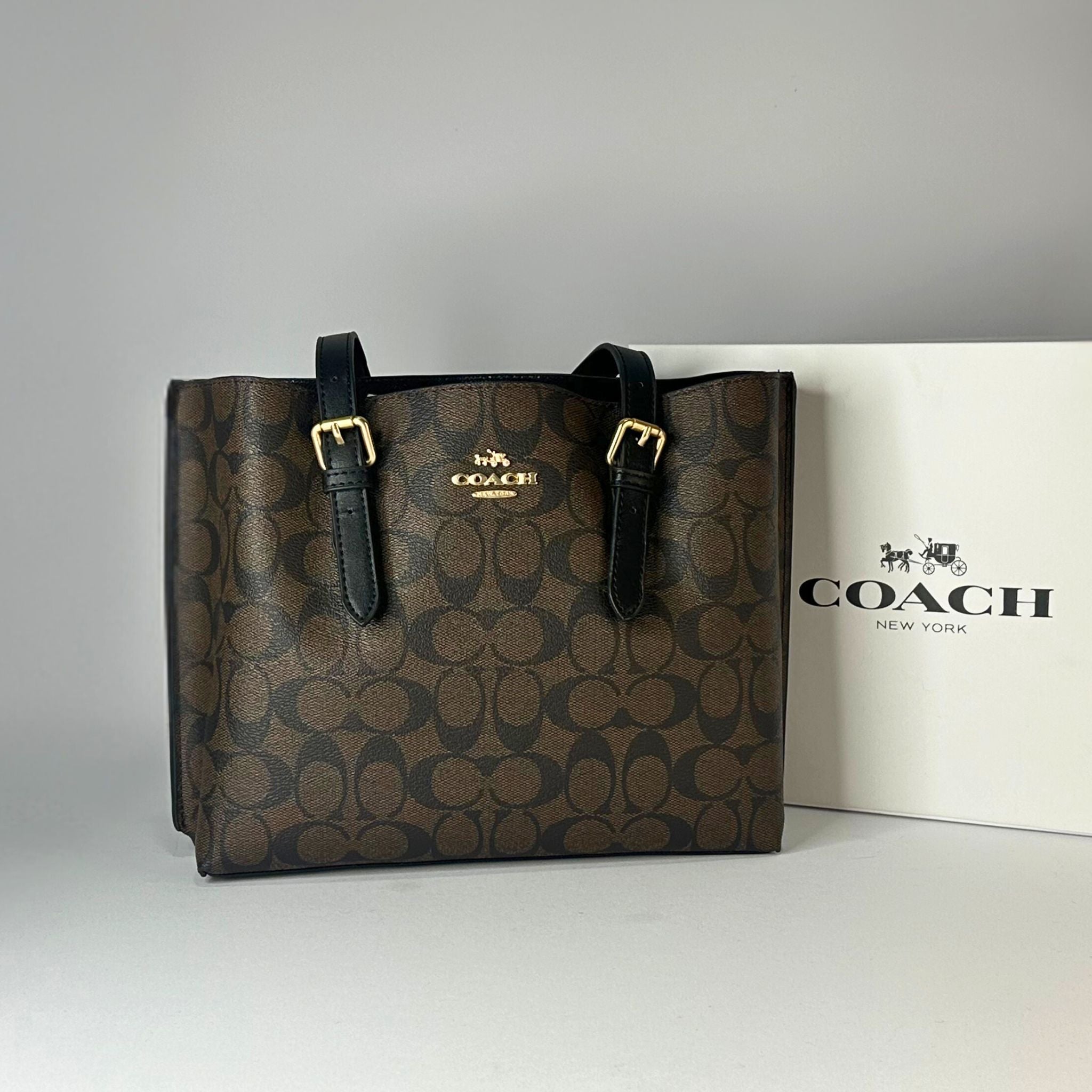 SAC COACH MOLLIE 25 – Luxe Corner