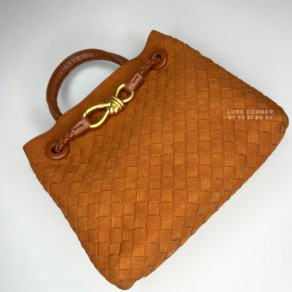 Sac Bottega Veneta Andiamo Small en Daim