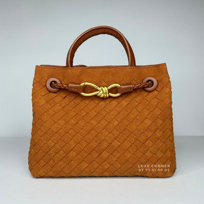 Sac Bottega Veneta Andiamo Small en Daim