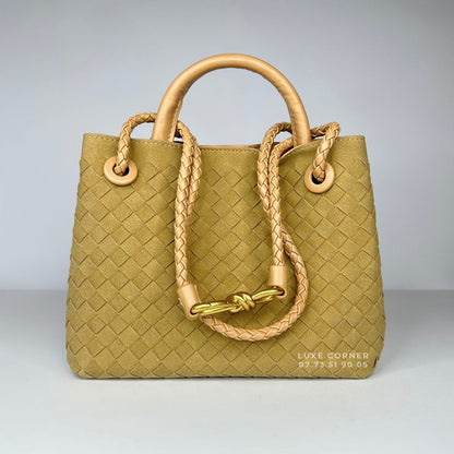 Sac Bottega Veneta Andiamo Small en Daim