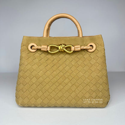 Sac Bottega Veneta Andiamo Small en Daim